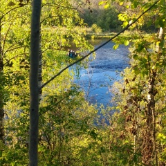 Vadim Vlk, 28.01.1988, Мирный