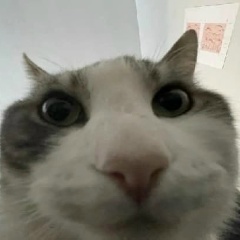 Артем Синий