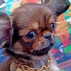 Катя Игнатьева, 30.12, Санкт-Петербург