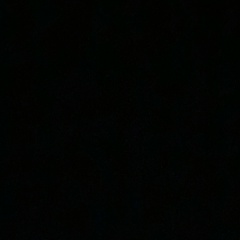 Радда Х, 25.11.1981