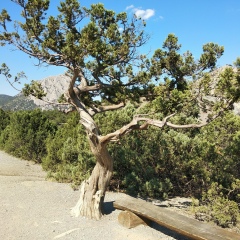 Галина Нарутдинова, 17.01, Челябинск