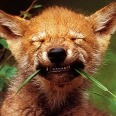 Сергей Карчёмов, 22.03.1962, Клайпеда