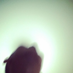 Farkhad Ragimov, Якутск