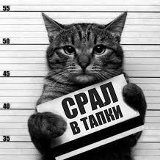 Евгений Машталяр, 22.09, Санкт-Петербург