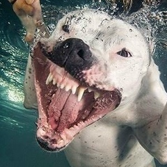 Антон Корж, 24.01.1989, Ирпень