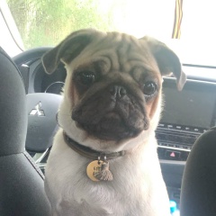 Катерина А, Москва