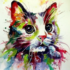 Бекзат Казиханов, 29.06, Атырау