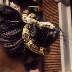 Alina Stefutina, 10.01.1992, Новосибирск