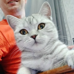 Димка Литвиненко, 24.06.1989, Харьков