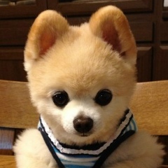 Виктория , 18.05