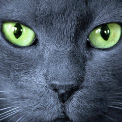 Салават Турбин, Уфа