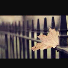 Жадра Маликова, 20.03, Астана