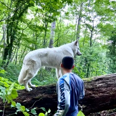 Игорь Коновалов, 06.10.1988, Ялта