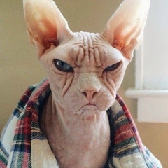 Вероника Дацкова, 28.06.1992, Северодонецк