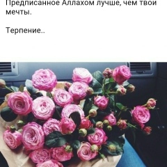 Khanifa Tatkaeva, 31.01, Шымкент