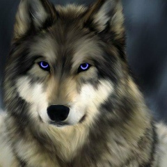 Андрей Артанов, 03.11.1970, Бухара