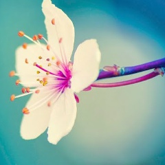 Айдан Акбарова, 19.01, Баку