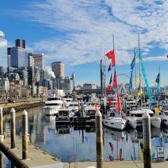 Любовь Воронина, 05.12, Москва