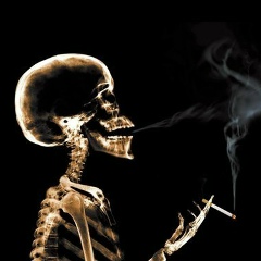 Евгений Аракчеев, 04.03.1985, Санкт-Петербург