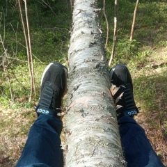 Andrey Samodeenkov, 31.05.2006, Петергоф