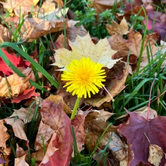 Кира Киреева, 11.01, Москва