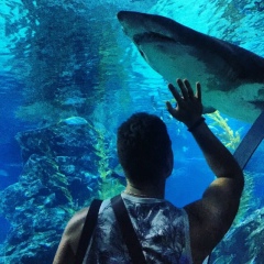 Кирилл Стефанов, 12.07.2000, Киев