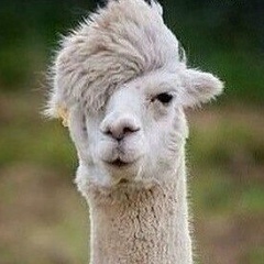 Андрей Калабин, 26.05.1988, Ростов-на-Дону