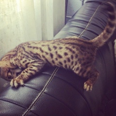 Настя Искрова, 08.10, Рига