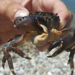 Алексей Владимирович, 28.08.1987
