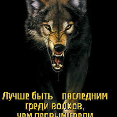 Altai Chimbaev, Алматы