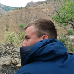 Роман Плетнёв, Санкт-Петербург