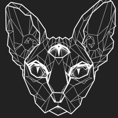 Anzol Kot, Санкт-Петербург