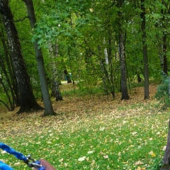 Александр Кириенко, 22.06, Тамбов