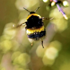 Яна Аршинова, 14.03.1989, Иваново