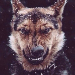 Азамат Турганбеков, 16.11, Алматы