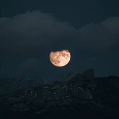 Suleiman Inarkaev, 09.11, Грозный