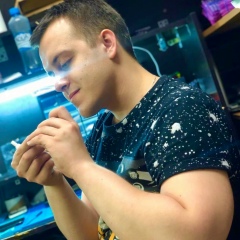 Артем Артемов, 23.11, Москва