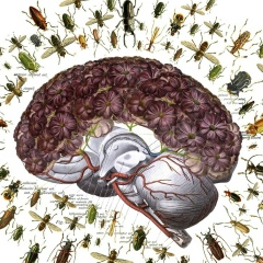 Евгений Долженко, 04.02.1991, Севастополь