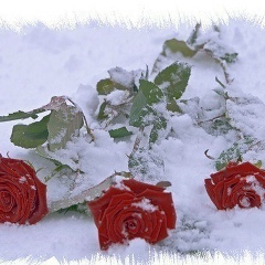 Мергуль Карбаева, 19.04.1987, Усть-Каменогорск