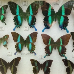 Наталья Лисевич, 09.04, Ашдод