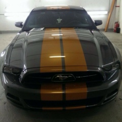 Витвик Sotnev, 16.07, Москва