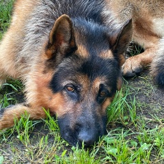 Владимир Тер, 27.07, Пушкин