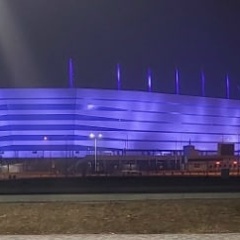 Цветущая Сакура, Калининград