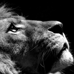 Руслан Демесинов, 19.08.1988