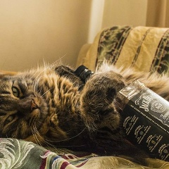 Александр Козловский, 20.09, Санкт-Петербург