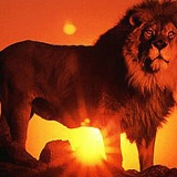 Дмитрий Сорока, 12.08, Москва