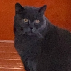 Светлана Лященко, 08.12.1976, Конаев / Капшагай