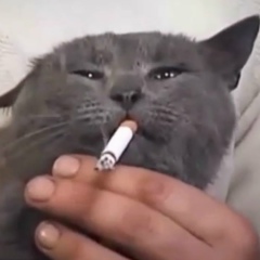 Саша Широков, 29.12.1993, Кишинев