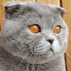 Людмила Калинина, 20.03, Калининград