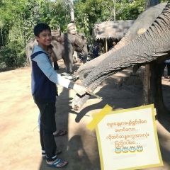 Super Thandar, 06.02.2004